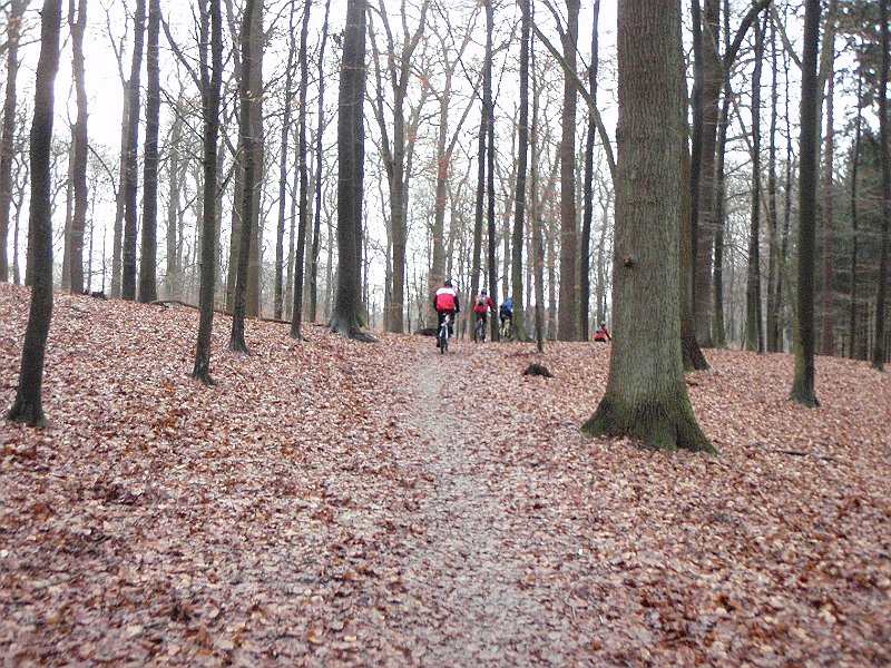 Waldtour 074